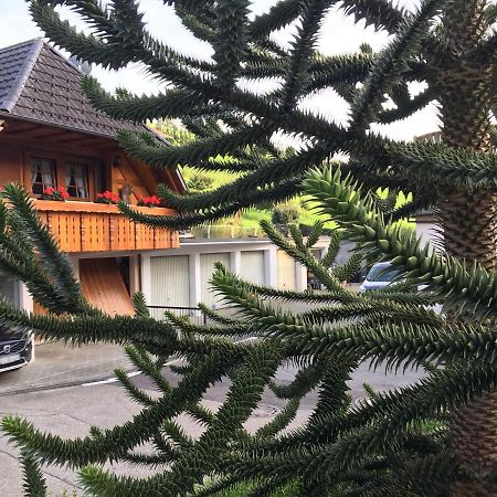 Pension Haus Rose Oberharmersbach Buitenkant foto