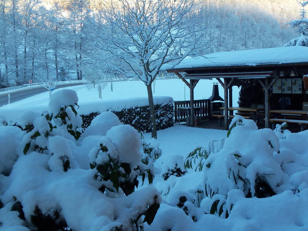 Pension Haus Rose Hotel Oberharmersbach Buitenkant foto