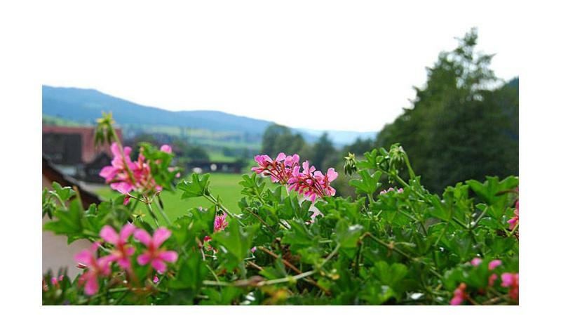 Pension Haus Rose Hotel Oberharmersbach Buitenkant foto