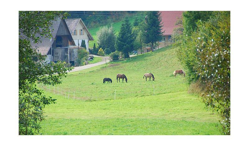 Pension Haus Rose Hotel Oberharmersbach Buitenkant foto